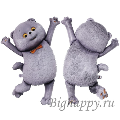 Фольгированный шар Кот Басик