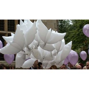 Фольгированные надувные шары &quot;Биоголуби&quot; с гелием фото