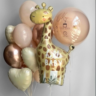 Шары на выписку из роддома &laquo;Наша радость&raquo; фото