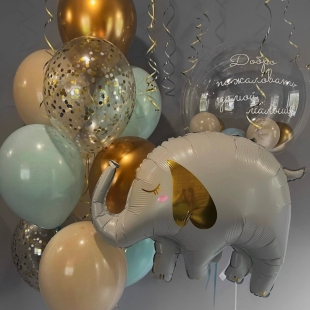 Воздушный набор на выписку из роддома &laquo;Нежное Чудо&raquo; фото