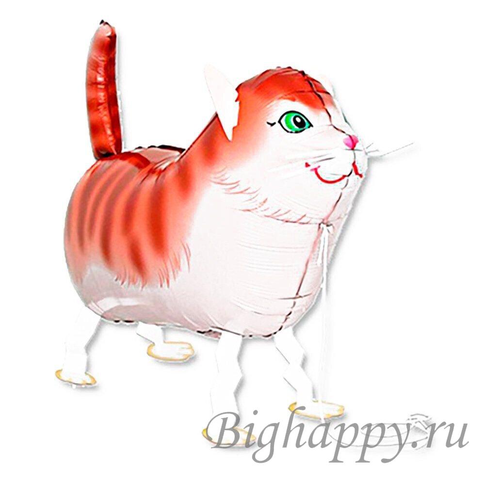 Шагающий кот. Шар ходячка кот. Шар Ходячий кот, 61см. Воздушный шар в виде кота. Шарик в виде кота.