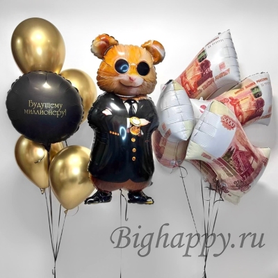 Набор шаров с гелием «Будущему миллионеру» фото