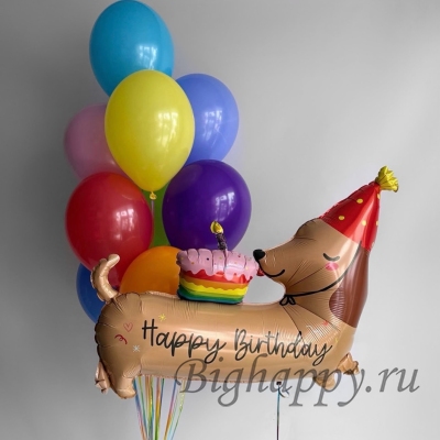Воздушные шары с гелием &laquo;Радужная Такса&raquo;