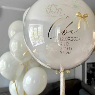 Воздушные шары на выписку из роддома &laquo;Нежный момент&raquo; фото