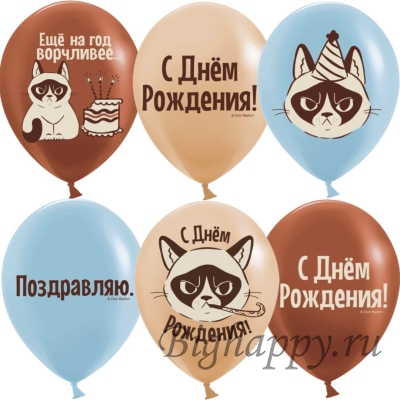 Воздушные шары на День рождения Сердитая кошка