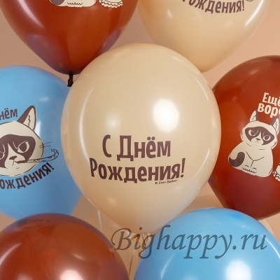 Воздушные шары на День рождения Сердитая кошка