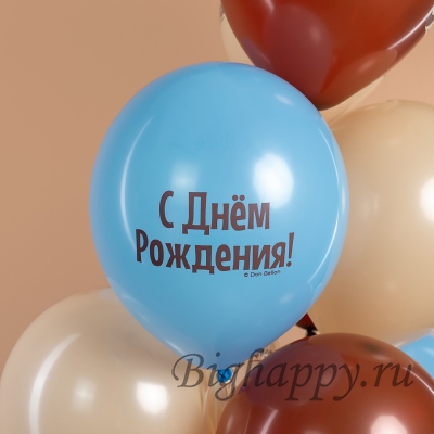 Воздушные шары на День рождения Сердитая кошка