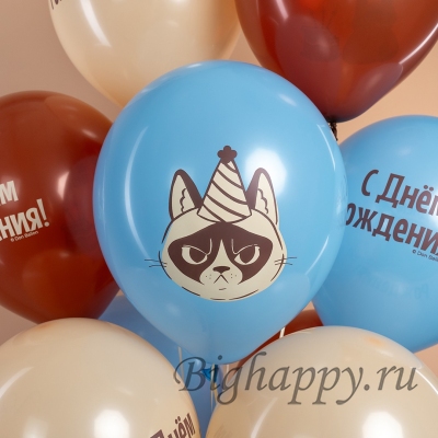 Воздушные шары на День рождения Сердитая кошка