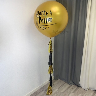 Большой шар с гелием &quot;Harry Potter&quot; фото