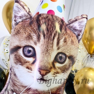 Композиция из шаров с фольгированной фигурой Весёлый котик на День рождения