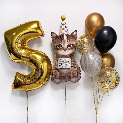 Композиция из воздушных шаров Праздничный котик на День рождения