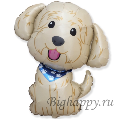Фольгированный шар белый щенок Мальтипу, мальтийская болонка