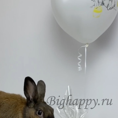 Латексный шар с гелием С кроликом