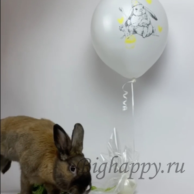 Латексный шар с гелием С кроликом