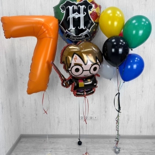 Воздушные шары "Гарри Поттер и магическое приключение" фото