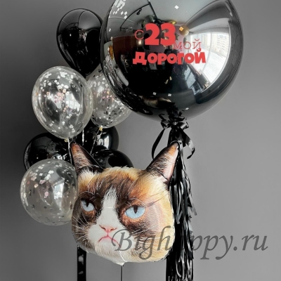 Воздушные шары для мужчин «Сердитый кот» фото