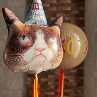 Фольгированный шар &laquo;Сердитый кот в колпаке&raquo; фото