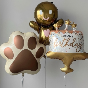 Набор воздушных шаров с гелием «Праздничная лапка» фото