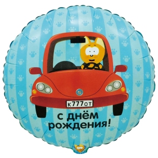 Шар-круг "Котэ за рулем красной машины" фото
