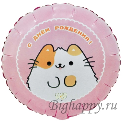 Розовый шаркруг с котиком ПушМяу