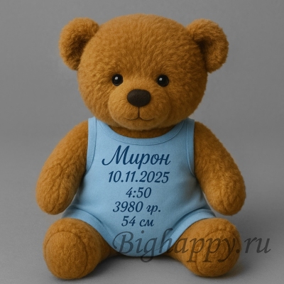 Игрушка на выписку из роддома мальчика с персональной печатью