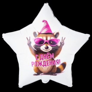 Звезда - Енот фото